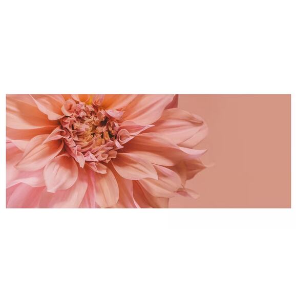 IKEA BJORKSTA BJÖRKSTA Picture Flowers-in Pink  CANVAS ONLY 55x22" 905.789.16 - Picture 1 of 3